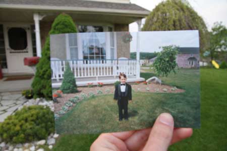 Dear Photograph Shrub