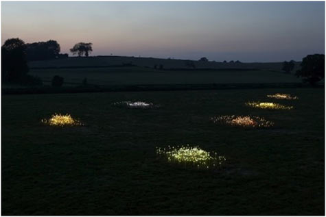 Field of Lighting Night Landscape View