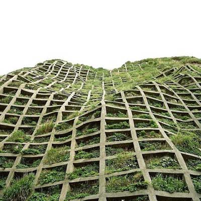Green Roof Lattice Wood Design