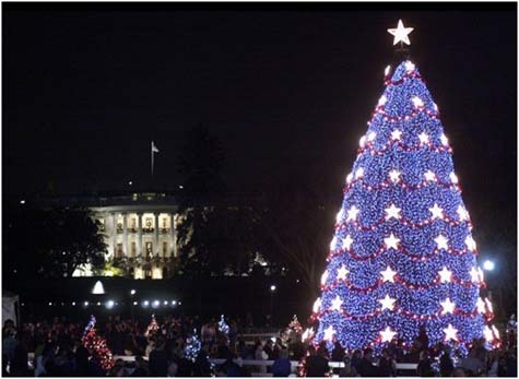 National Christmas Tree Lighting 2011