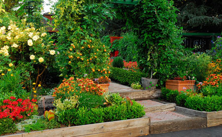The Edible Garden Flipping Notion, Edible Landscape Design Front Yard