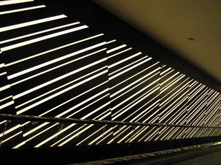 LED Backlit Illuminated 3Form and Wood Striped Wall Panels