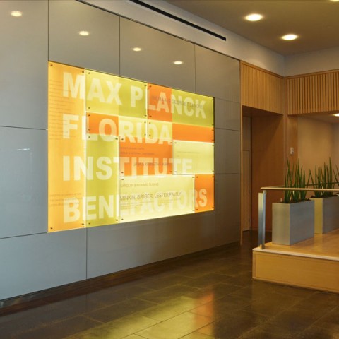 Backlit Graphic Feature Wall