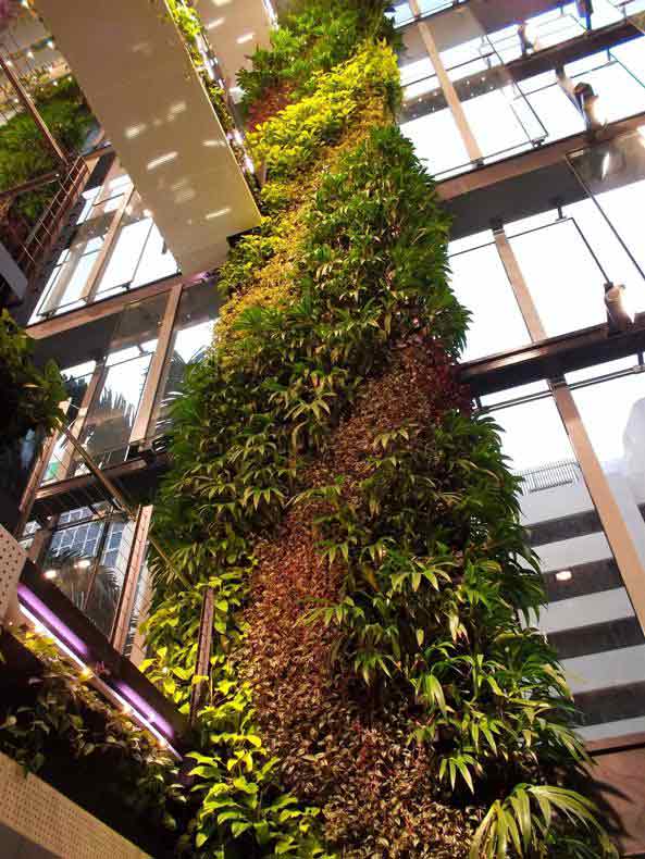 plant-living-wall-building-lobby